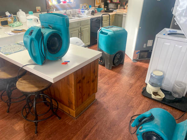 Best Flood damage cleanup  in Willoughby Hills, OH