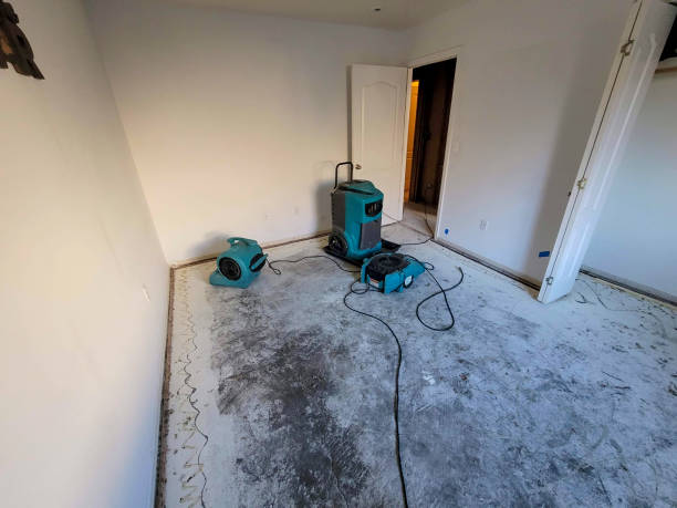 Best Water damage cleanup near me  in Willoughby Hills, OH