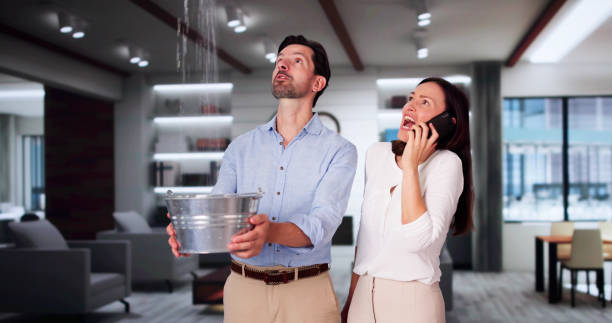  Willoughby Hills, OH Water damage restoration Pros